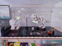 Lego 21320 Dinosaur Fossil + Display Case Bayern - Türkheim Vorschau