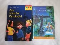 * Der falsche Verdacht * Die Schatzsuche * 2 Bücher * ab 9 J. Schleswig-Holstein - Hasenkrug bei Brokstedt Vorschau