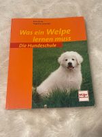 Buch Hund Welpe Hundeschule „ Was ein Welpe lernen muss“ Kreis Ostholstein - Timmendorfer Strand  Vorschau