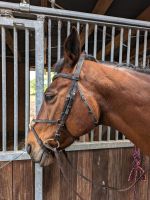 Mexikanische Trense VB Braun 4Horses Nordwestmecklenburg - Landkreis - Gadebusch Vorschau