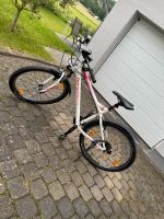 Fahrrad bergamont Rheinland-Pfalz - Maring-Noviand Vorschau