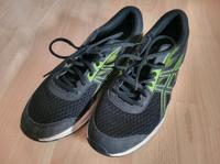 Turnschuhe von Asics in Gr. 44, sehr gut erhalten Schleswig-Holstein - Wankendorf Vorschau