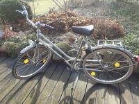 Puch Elegance Damenfahrrad 26 Zoll Herzogtum Lauenburg - Hamfelde, Kr Hzgt Lauenburg Vorschau