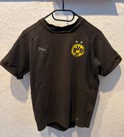 Borussia Dortmund Trainings T-Shirt Güstrow - Landkreis - Teterow Vorschau