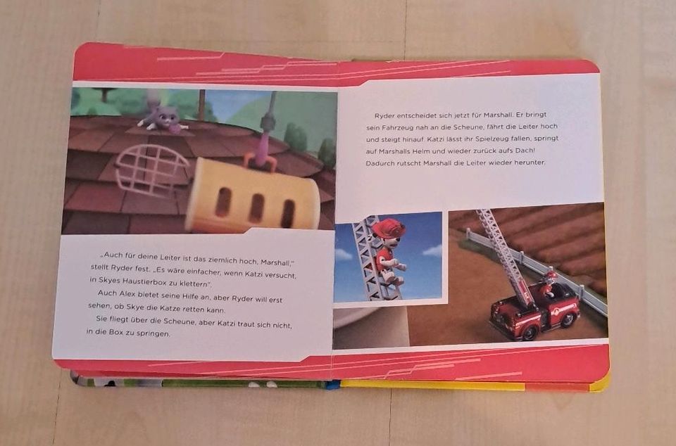 Buch Paw Patrol Hilfe für Katzi in Nidderau