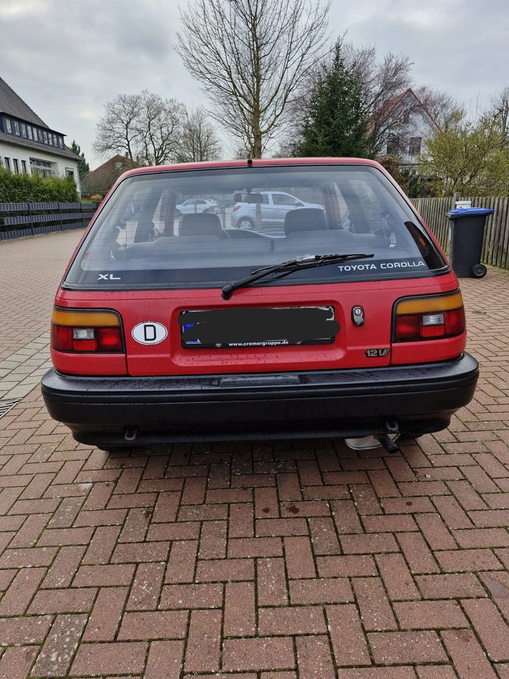 Toyota Corolla in Stadthagen