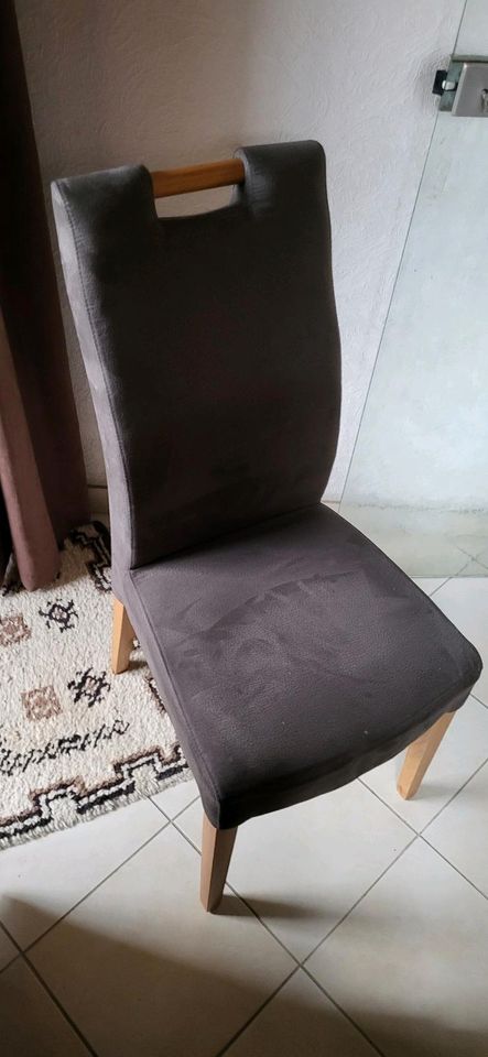 Esszimmerstühle Stühle Marke: Vito in Warmsen
