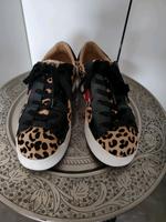 Sneaker Steve Madden Hessen - Pfungstadt Vorschau