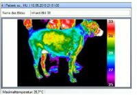 Infrarotkamera OptiRes C Super Resolution, Bj. 2010 auch VET Baden-Württemberg - Leonberg Vorschau