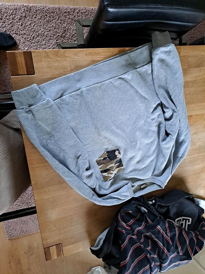 5 xSweatshirt Carhartt Vans Ezekiel in Nalbach