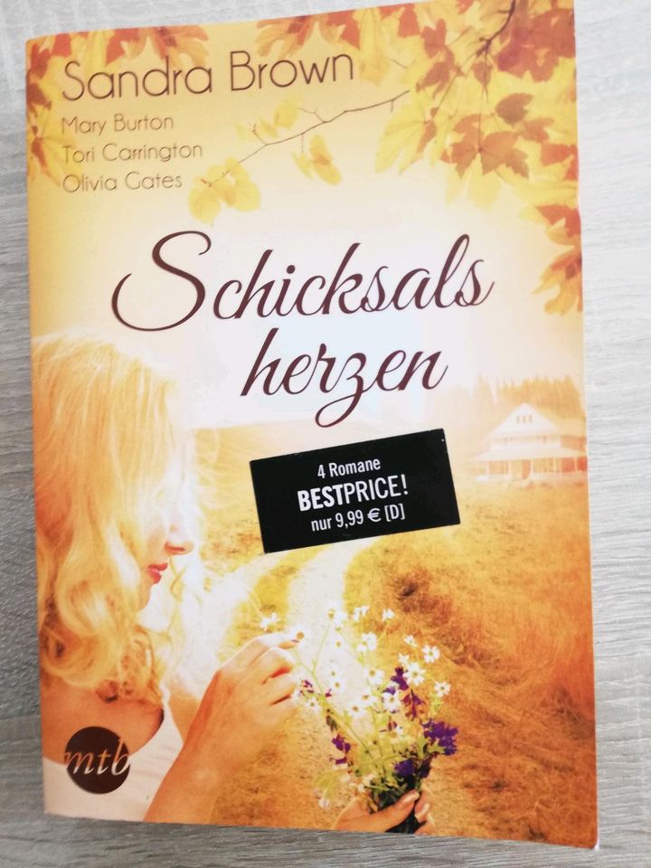Buch "Schicksalsherzen" - 4 Romane in einem Buch in Karlsbad