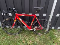 Bottecchia Rennrad RH 58 Brandenburg - Steinhöfel Vorschau