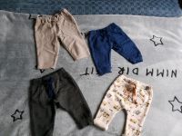 8 Baby Hosen Set 62 bis 74 Nordrhein-Westfalen - Gladbeck Vorschau