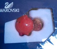 Swarovski...USB Stick... Hessen - Grasellenbach Vorschau