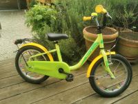 Noxon Skimpy 16 zoll Kinderfahrrad Kinderrad Kinder Fahrrad Nordrhein-Westfalen - Grefrath Vorschau