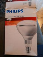 Glühbirne von Philips 250 Watt Nordrhein-Westfalen - Königswinter Vorschau