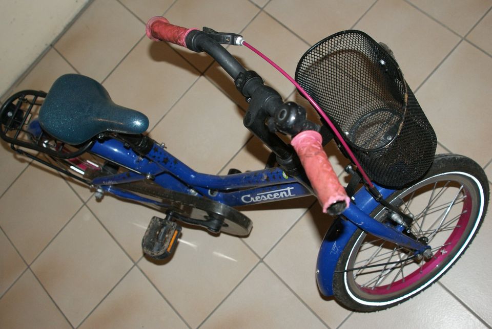 blaues Fahrrad mit Korb (für Kinder ab 4-5 Jahre) in Edingen-Neckarhausen