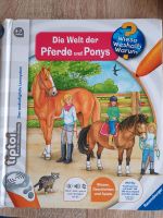 Tiptoi Die Welt der Pferde und Ponys Hessen - Stockstadt Vorschau