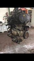 Opel Turbo Diesel Motor Z19DT Nordrhein-Westfalen - Werne Vorschau