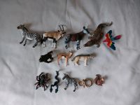 Schleich Tiere Afrika Affe Spinne Krokodil Antilope Zebra Papagei Nordrhein-Westfalen - Lüdinghausen Vorschau