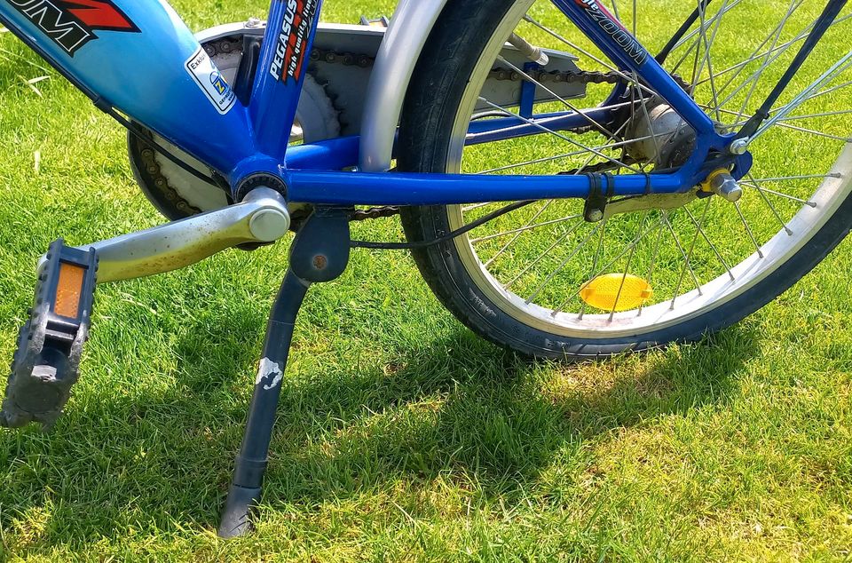 Kinderfahrrad 20Zoll in Großrinderfeld