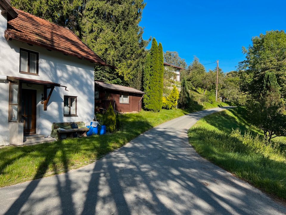 Traumhaftes Grundstück mit Altbestand am See in idyllischer Lage in Ebersberg