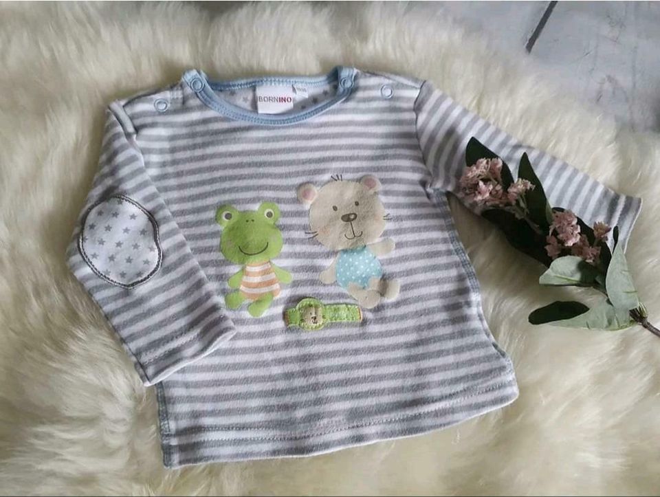 Langarmshirt Frosch Teddy Gr. 50/56 Bornino in Cottbus