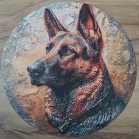 Dekoschild , Aluminium Schild Schäferhund  20×20 cm Baden-Württemberg - Freudenstadt Vorschau