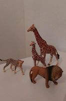 Schleich Wildtiere Afrika Löwe Giraffe Gepard Tiger ab Thüringen - Sondershausen Vorschau