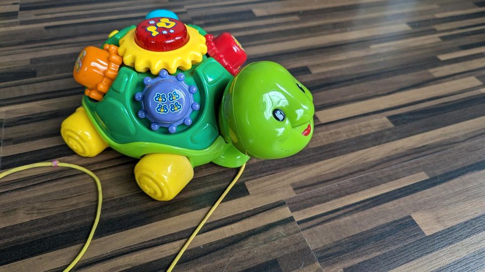 Kinderspielzeug Schildkröte Vtech in Dresden