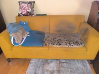 Gebrauchtes 2-er Sofa Düsseldorf - Bilk Vorschau