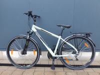 PEGASUS Piazza Disc Herren Cityfahrrad 28" Rh: 45,50,60 cm Nordrhein-Westfalen - Dorsten Vorschau