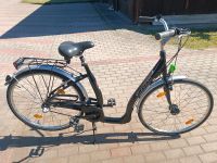 28" Alu Damenfahrrad 3 Gang Nabenschaltung Nabendynamo Brandenburg - Templin Vorschau