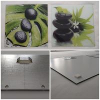 Acrylglasbilder, Pflanzen-Steine-Motive, 2 Stück, Maße: 50x50 cm Leipzig - Eutritzsch Vorschau