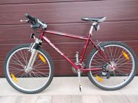 Mountainbike 26 Zoll Niagara Durango Bayern - Bechhofen Vorschau