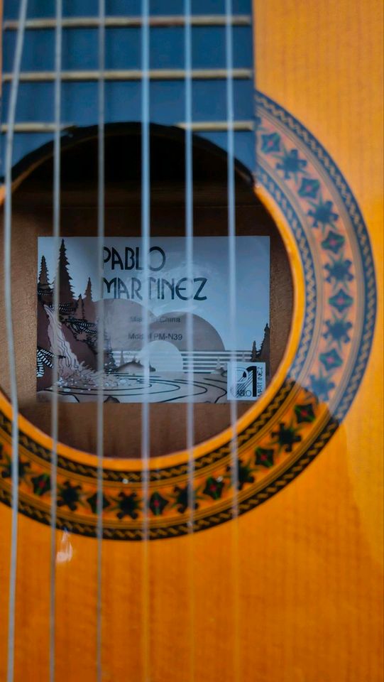 Gitarre Pablo martinez in Stuttgart