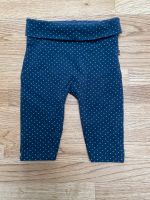 Blaue Leggins mit weißen Punkten Größe 62 Baby Club Baumwolle Nordrhein-Westfalen - Krefeld Vorschau