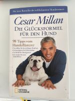 Buch Hundeflüsterer César Millan Hundesachbuch Niedersachsen - Hillerse Vorschau