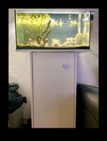 Aquarium komplett mit Zubehör Technik LED & Inhalt Nordrhein-Westfalen - Siegen Vorschau