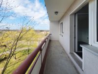 Schöne 1-Zimmer-Wohnung mit Balkon Leipzig - Grünau-Nord Vorschau