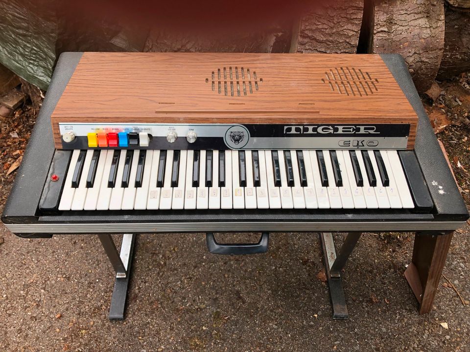 Orgel Tiger Eko 220 V in Obernkirchen