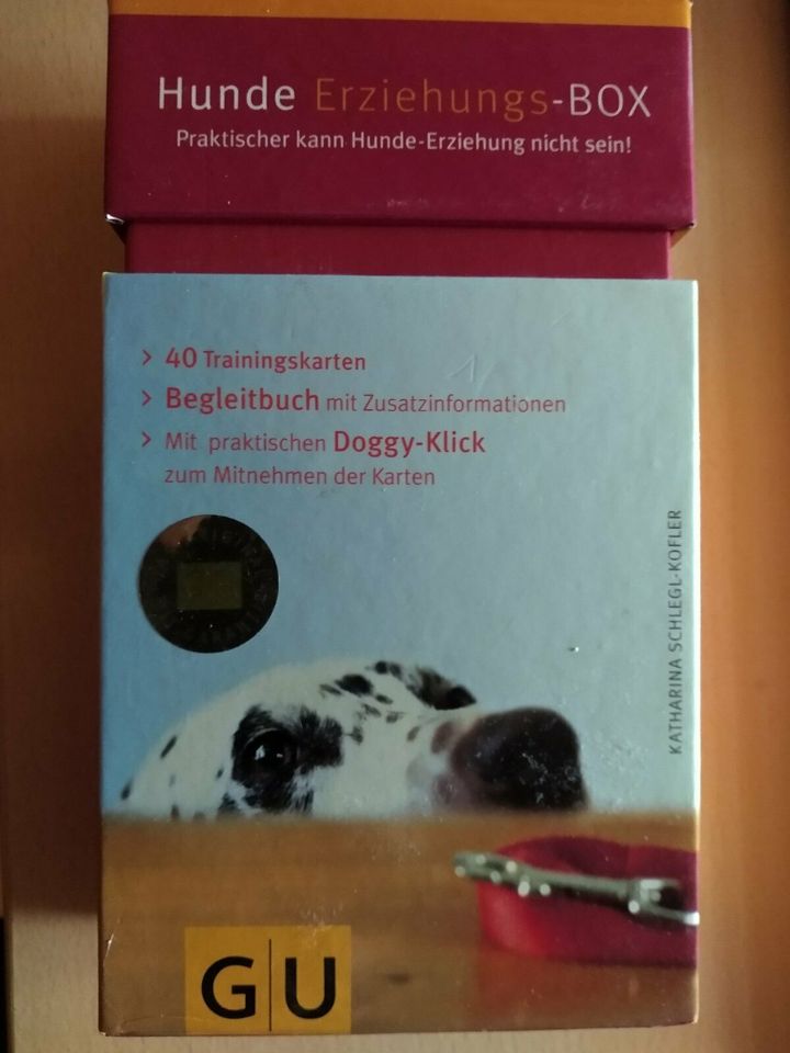 Hunde Erziehungs Box in Römerberg