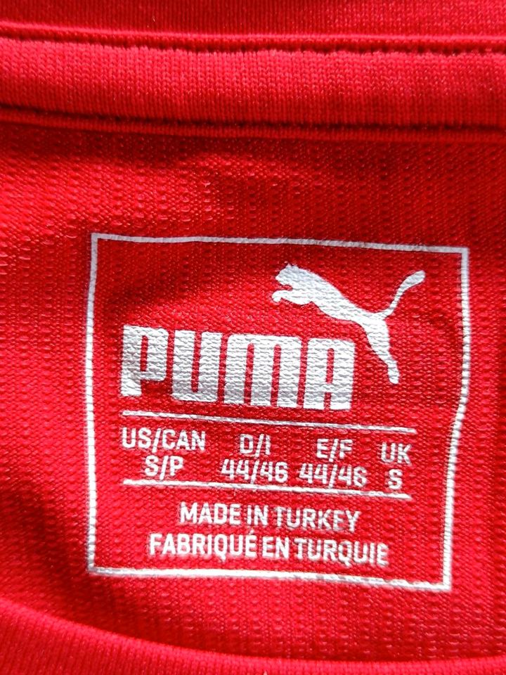 Puma T-Shirt Sportshirt Ferrari 44/46 S in Wickenrodt