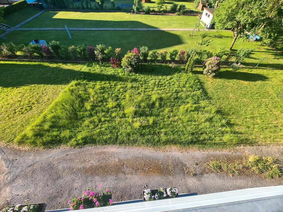 Gartenhilfe gesucht!! in NordrheinWestfalen Recklinghausen