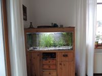 Aquarium - 120 cm x 45 cm x 40 cm Hessen - Bad Soden am Taunus Vorschau