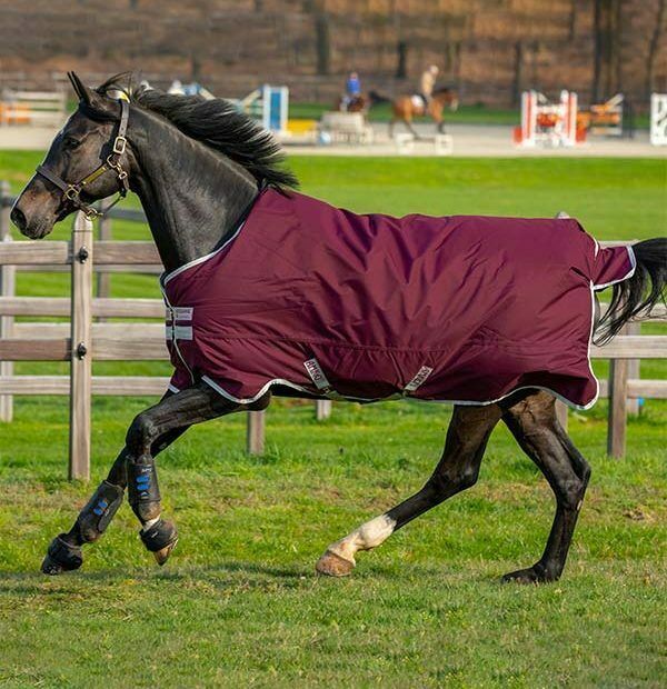 Regendecke Horseware Amigo Hero mit 0g, 50g, 200g robust in 115,125,130,140,145,155,160 Ripstop Material,winddicht,wasserdicht,atmungsaktiv verschiedene Farben Neuware günstig Top Qualität Pferdedecke in Kempen