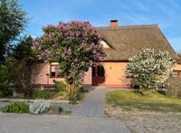 4 Seitenhofes zur Miete auf der Sonneninsel Usedom Mecklenburg-Vorpommern - Stolpe auf Usedom Vorschau