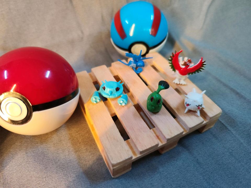 Pokemon Figuren in Großrinderfeld