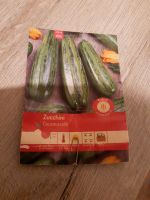 Zucchini Samen 7 Samen Niedersachsen - Hatten Vorschau