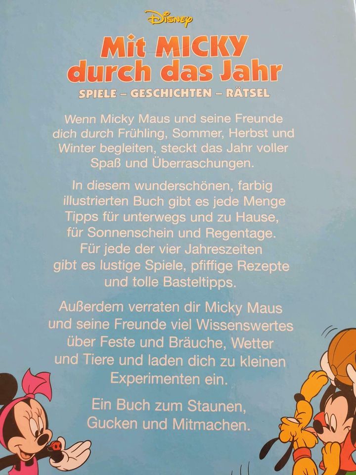 2 Kinder Bücher Spiele Geschichten Rätsel Laura Stern Disney in Vechelde